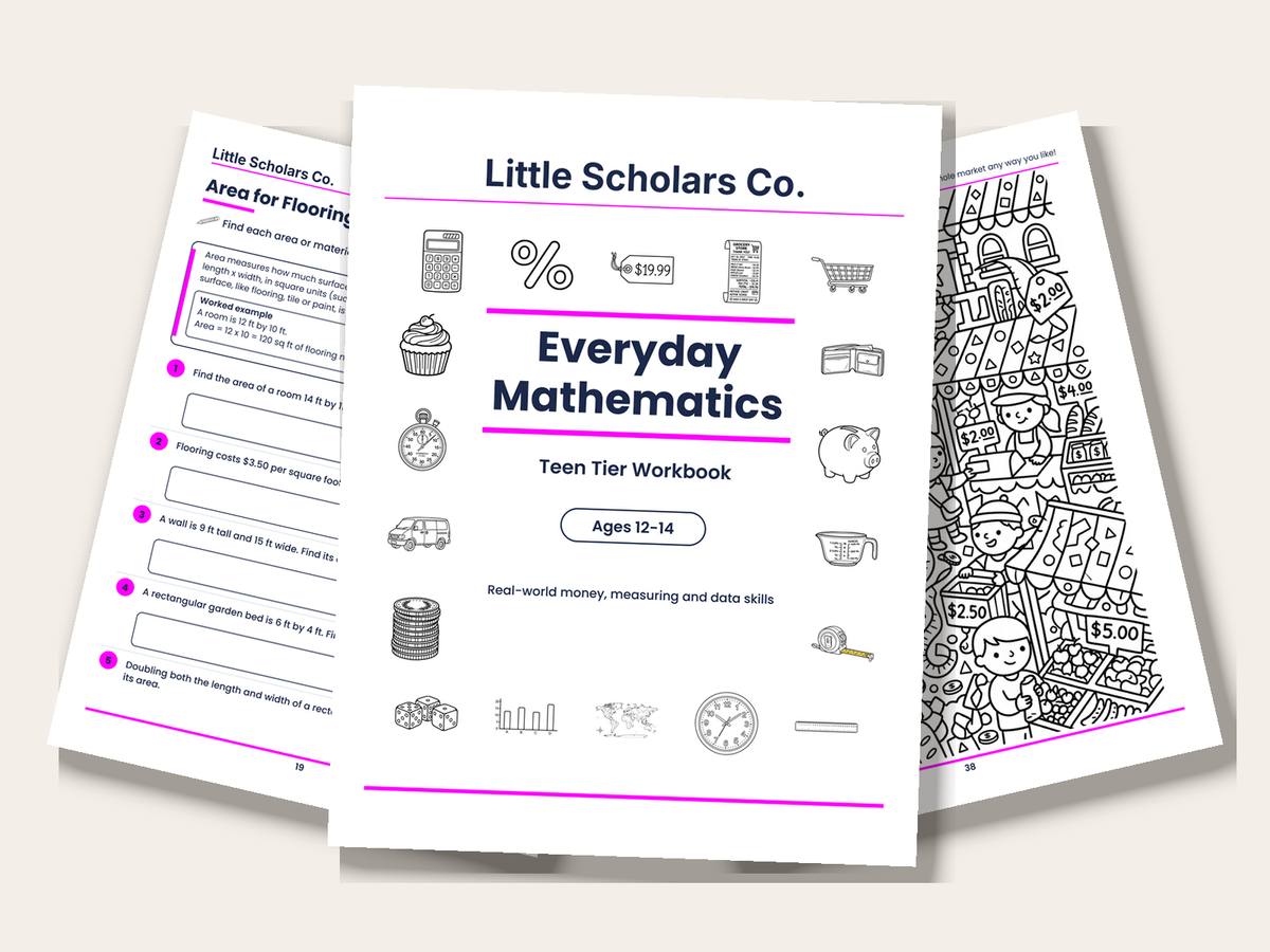 Everyday Mathematics (Teen Tier Workbook) — teaser